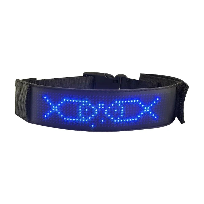Collier lumineux chien | Texte personnalisé