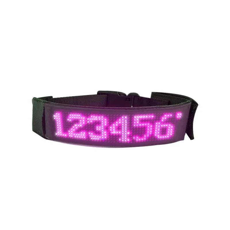 Collier lumineux chien | Texte personnalisé