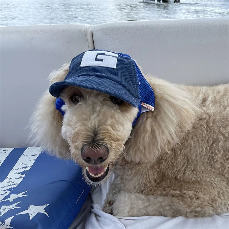 Casquette pour chien