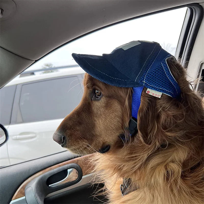 Casquette pour chien