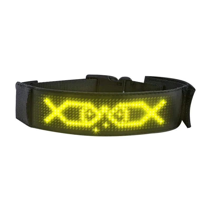 Collier lumineux chien | Texte personnalisé