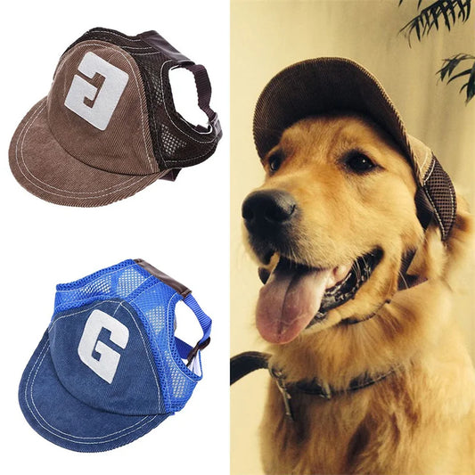 Casquette pour chien