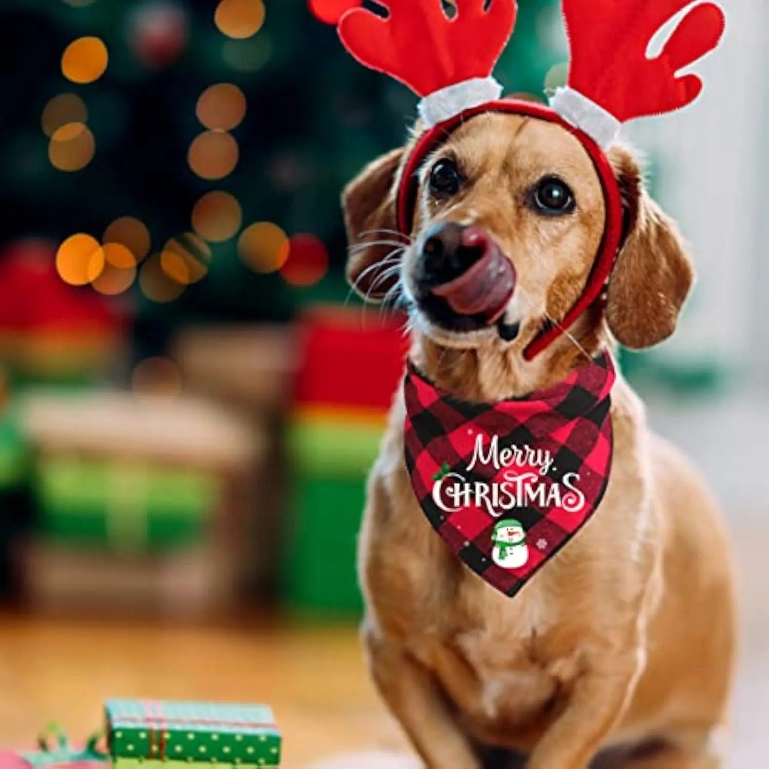 bandana chien noel bonhomme de neige rouge