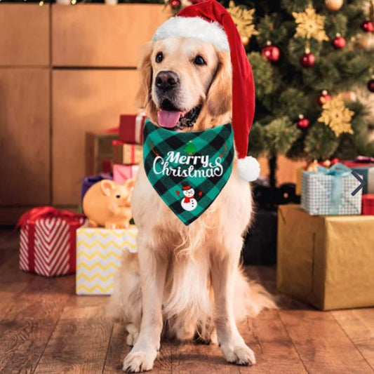 bandana chien noel bonhomme neige devant sapin cadeau