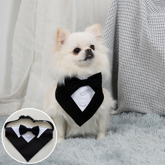 bandana chien smoking petit chien blanc noeud papillon noir