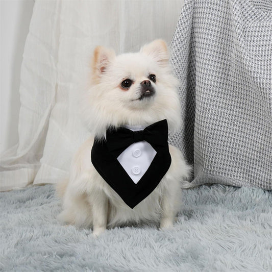 bandana chien smoking petit chien blanc noeud papillon noir