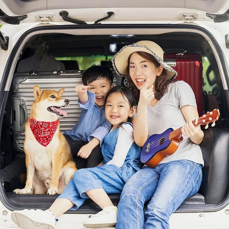 Bandana pour Chien | Doggyscarfâą - PuppyDog Zone