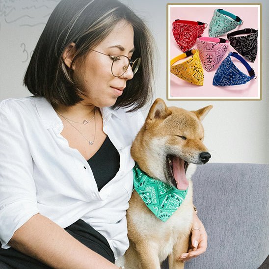 Bandana pour Chien | Doggyscarfâą - PuppyDog Zone