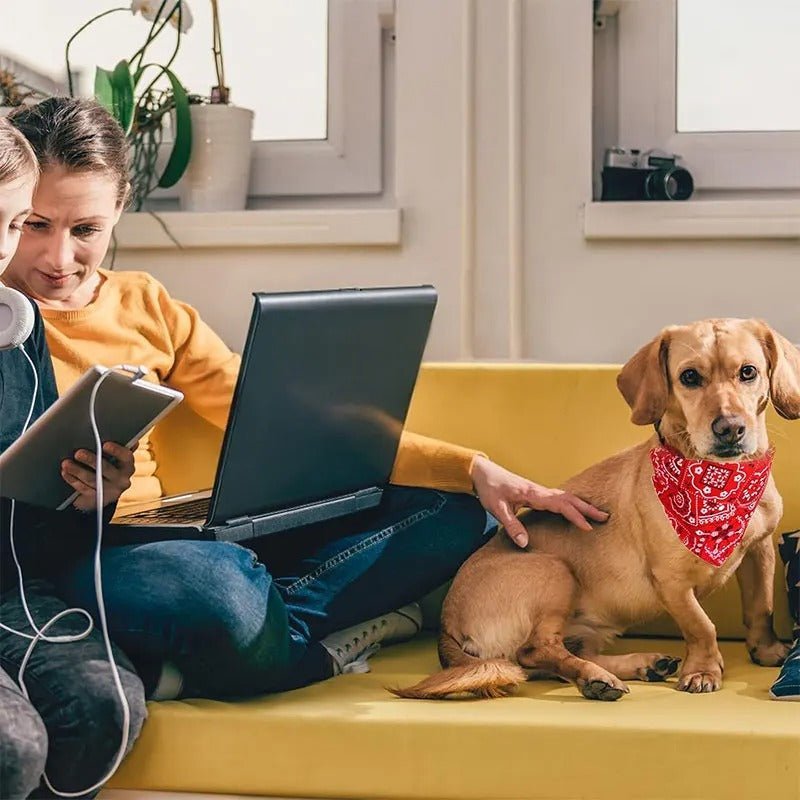 Bandana pour Chien | Doggyscarfâą - PuppyDog Zone