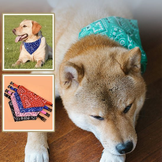 Bandana pour Chien | Doggyscarfâą - PuppyDog Zone