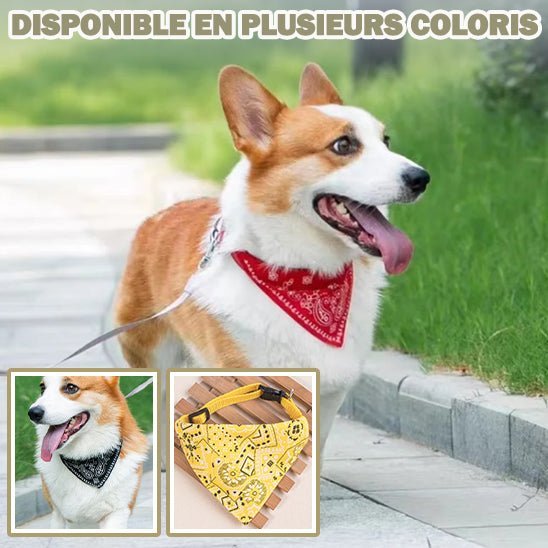 Bandana pour Chien | Doggyscarfâą - PuppyDog Zone