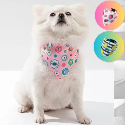 chien-taille-moyenne-blanc-avec-bandana-avec-fleurs