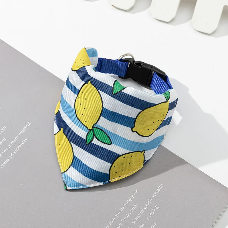 bandana-collier-motif-de-citron-lignée-bleu