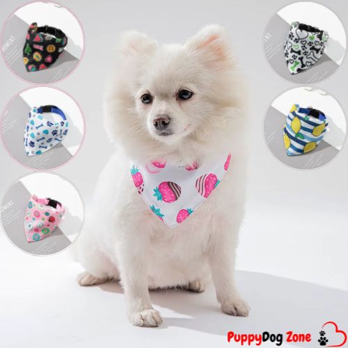 chien-blanc-moyen-avec-bandana-choix-de-modèle-en-mortaise