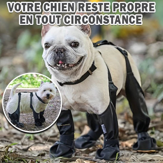 un-chien-carlin-portant-des-bottes-attachées-avec-des-sangles-sur-son-dos