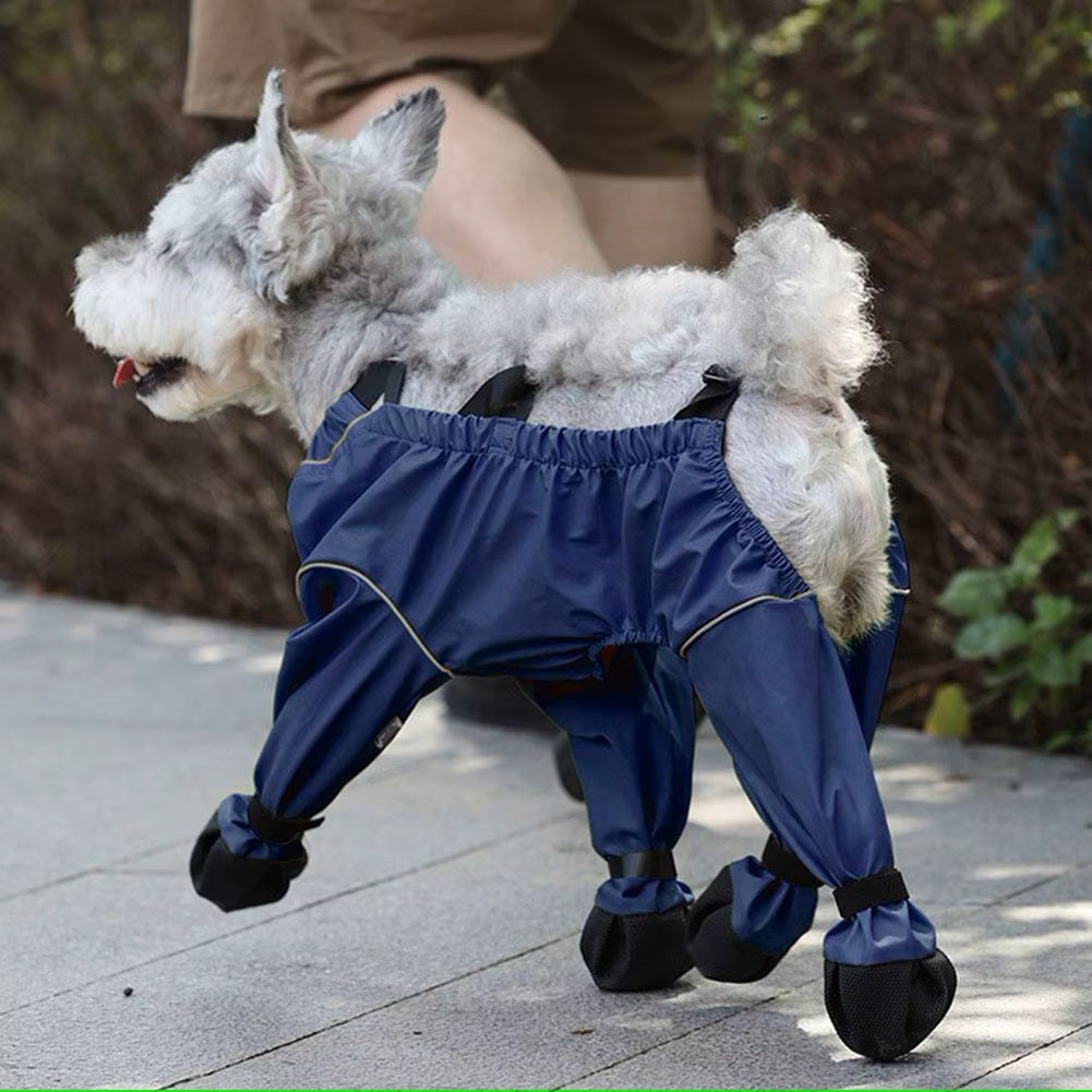 chien-en-promenade-porte-des-bottes-pantalon-bleu-marin