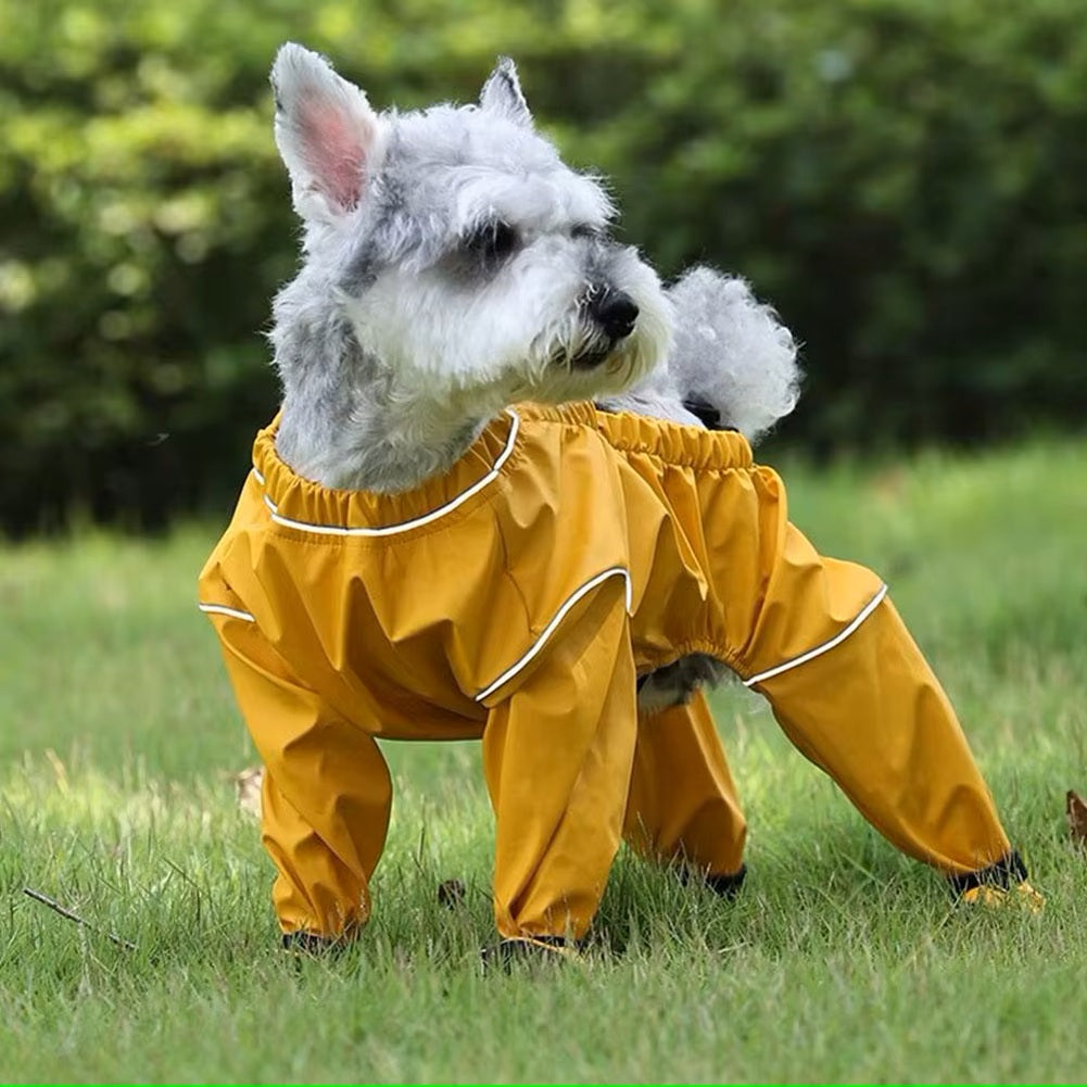 petit-chien-schnazer-porte-des-bottes-pantalons-couvrant-pattes-et-ventre