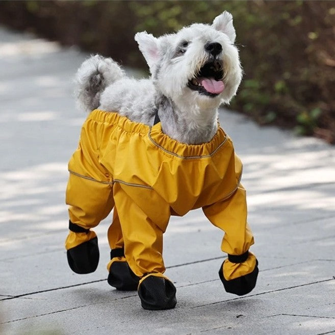 petit-chien-porte-des-bottes-a-bretelles-jaune