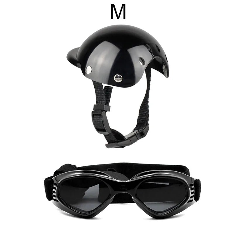 casque-noir-moto-lunettes-soleil-pour-chien-grandeur-medium
