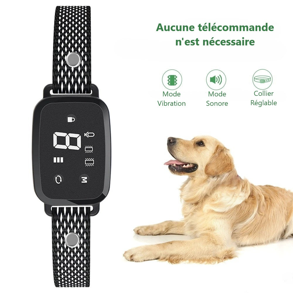 chien-labrador-couché-regarde-un-collier-pour-chien-numérique