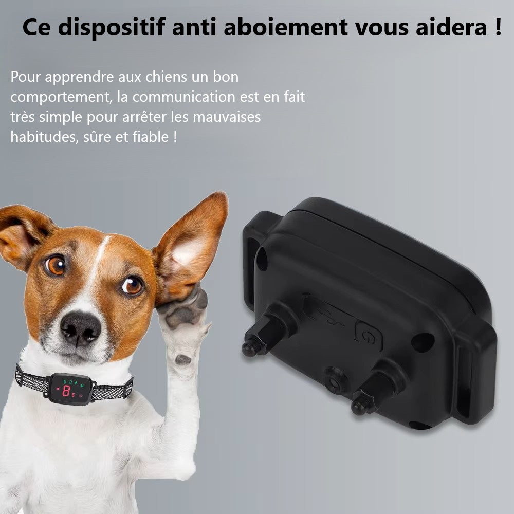 chien-patte-a-l'oreille-avec-collier-numérique