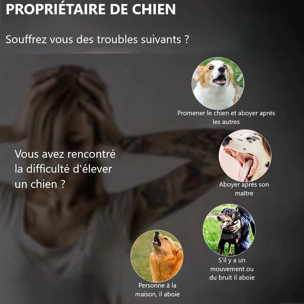 fille-decouragée-chien-aboie-pour-tout