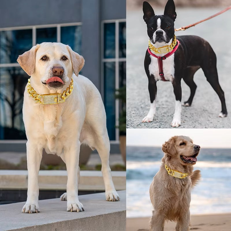 trois-chiens-un-labrador-un-bulldog-un-goldenretriever-et-ils-portent-un-collier-en-or