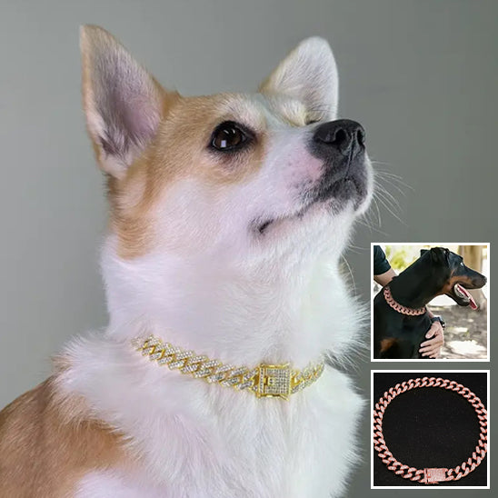 un-corgi-regardant-dans-les-airs-portant-un-collier-en-or-et-deux-photos-en-mortaise-un-doberman-portant-un-collier-en-or-rose
