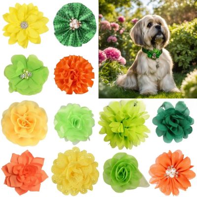 chien-lhassa-apso-qui-porte-une-fleur-verte-dans-son-collier-et-toutes-les-modĂšles-de-fleurs-vertes-jaune-orange-disponible