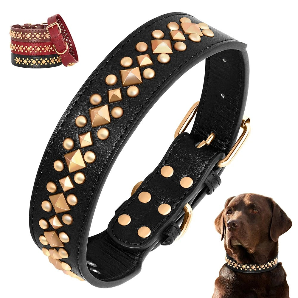 Collier en cuir pour chien