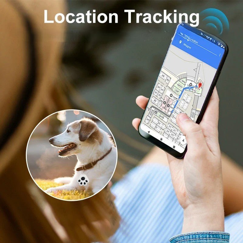 Collier GPS pour chien | JoliePatte™ - PuppyDog Zone