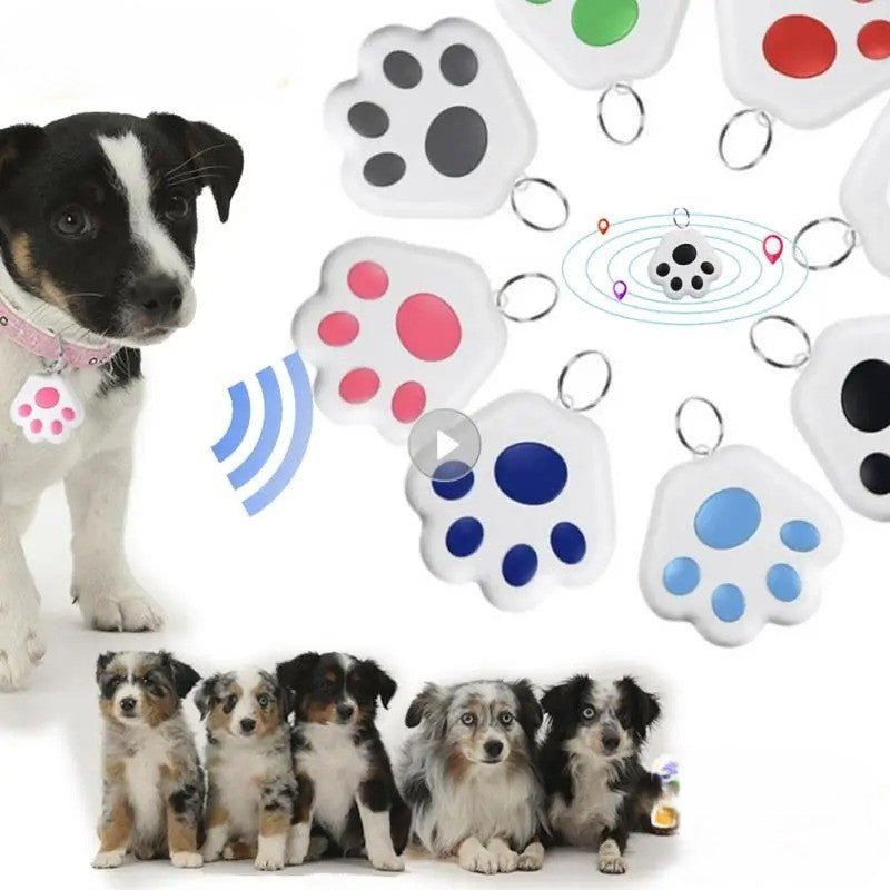 Collier GPS pour chien | JoliePatte™ - PuppyDog Zone