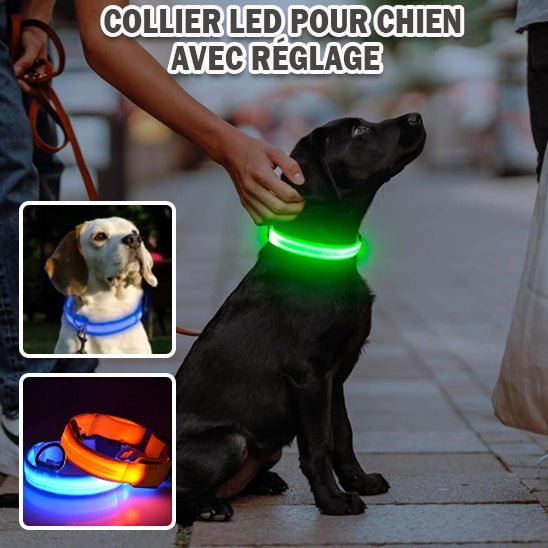 Collier Lumineux pour Chien | DoggyLuminousâą - PuppyDog Zone