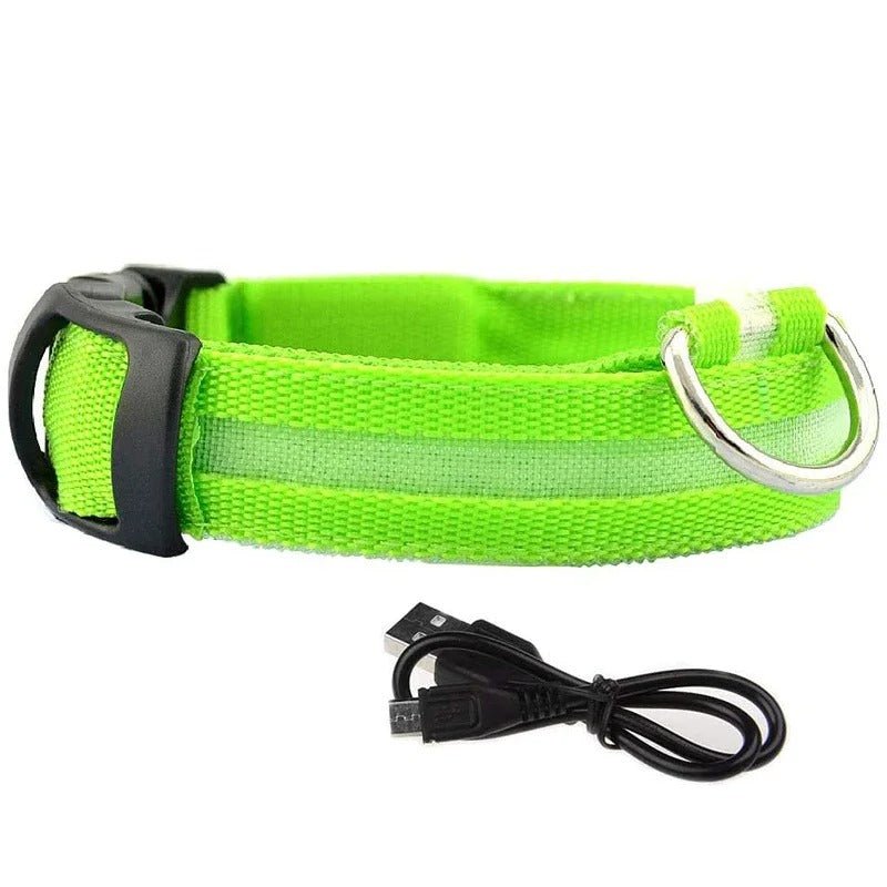 Collier Lumineux pour Chien | DoggyLuminousâą - PuppyDog Zone