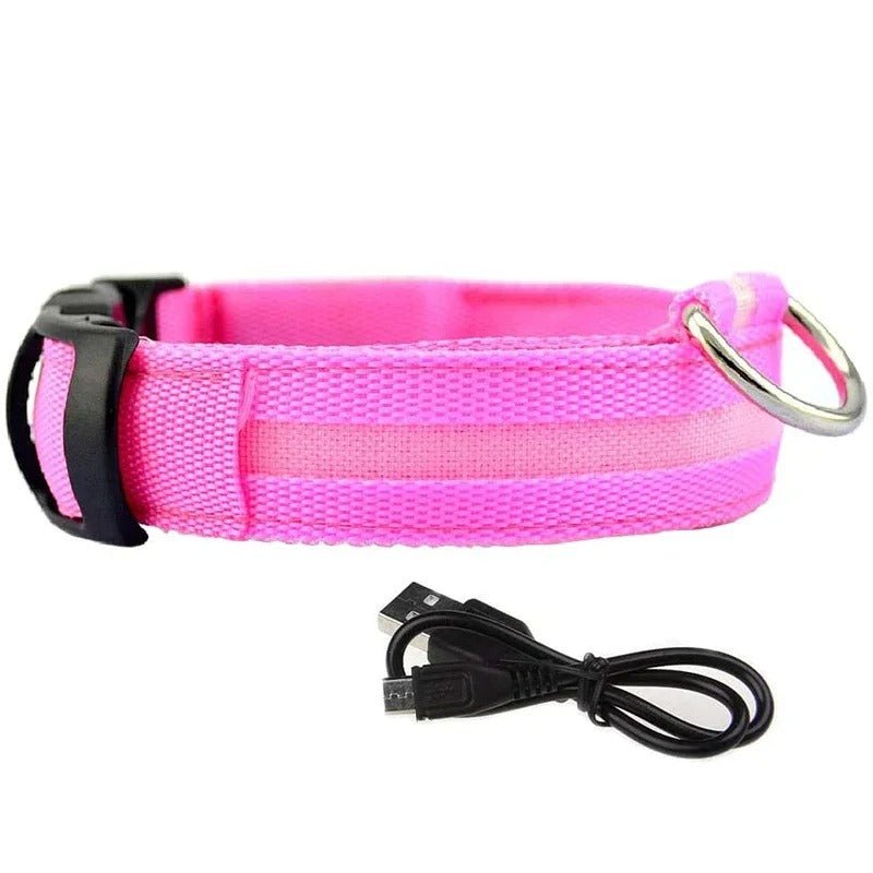 Collier Lumineux pour Chien | DoggyLuminousâą - PuppyDog Zone
