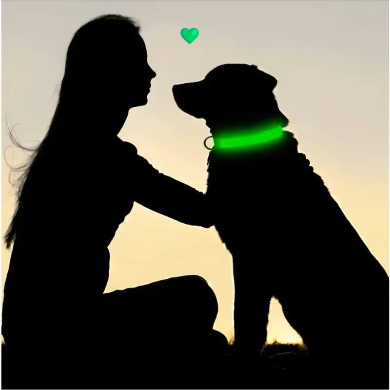 une-ombre-de-chien-et-sa-maitresse-assis-face-Ă -face-et-le-chien-porte-un-collier-lumineux-vert