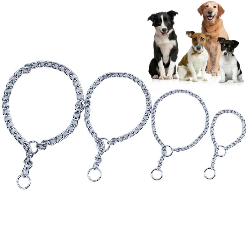 Collier pour chien | Chaîne acier inoxydable