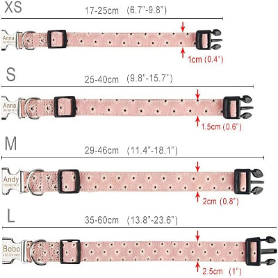 Collier pour chien personnalisé