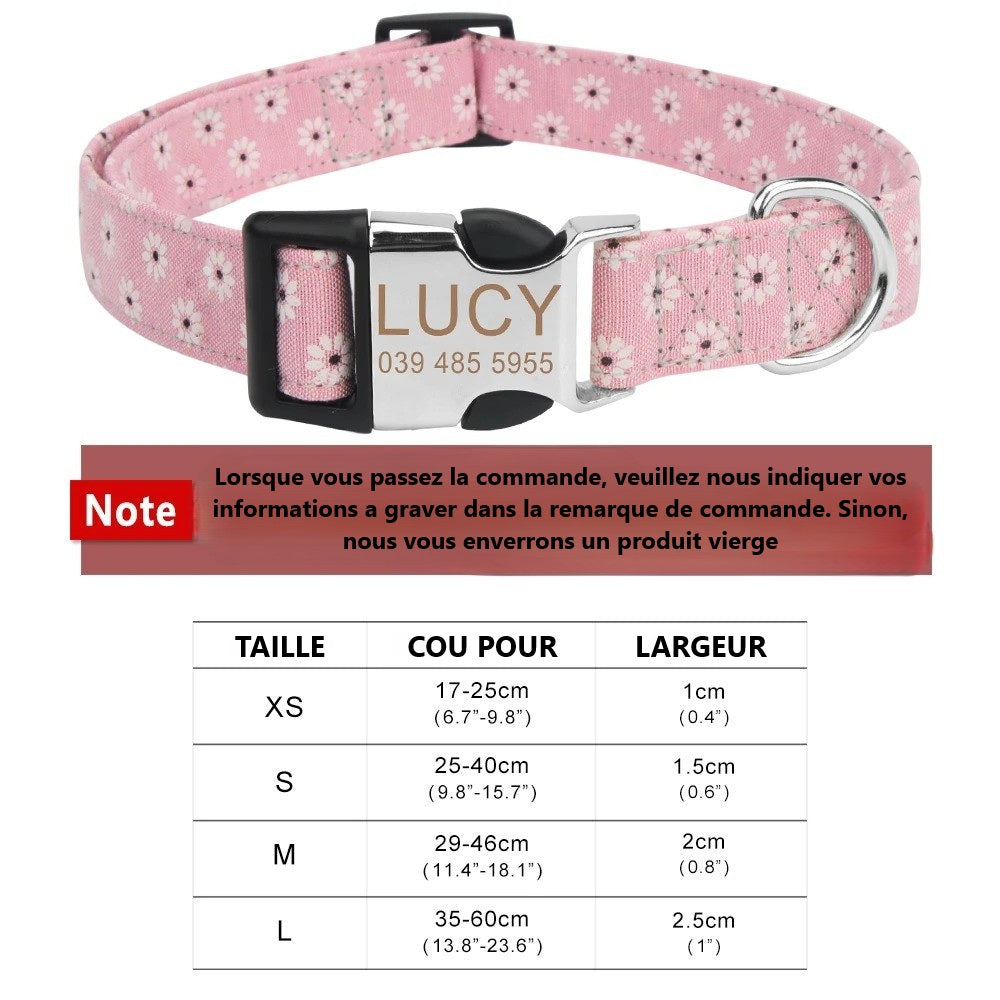 Collier pour chien personnalisé