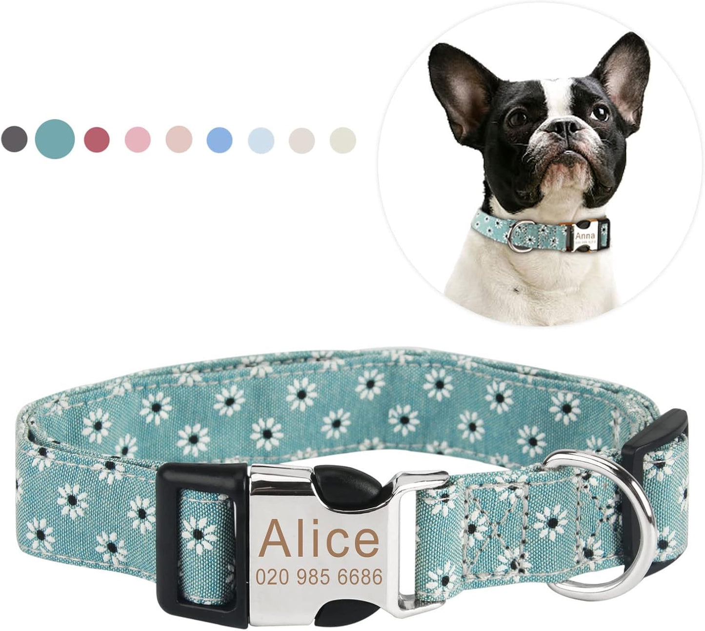 Collier pour chien personnalisé