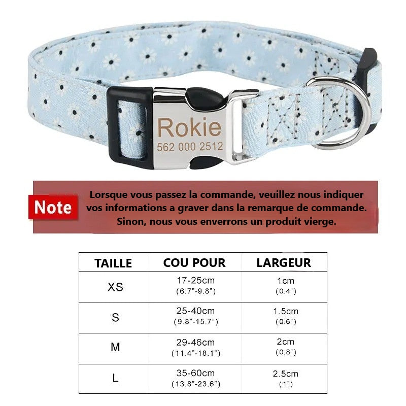 Collier pour chien personnalisé
