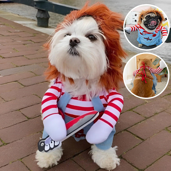 Déguisement chien Halloween | Poupée Chucky