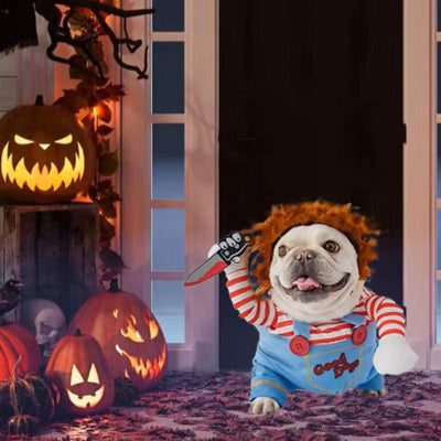 deguiement chien halloween bandit couteau salopette