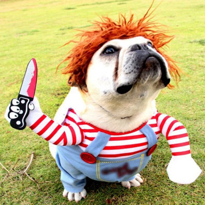 deguisement chien halloween bulldog salopette perruque