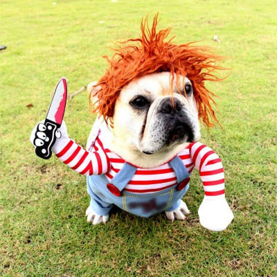 deguisement chien halloween bulldog salopette perruque couteau