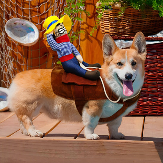 deguisment chien halloween cowboy assis sur dos chien