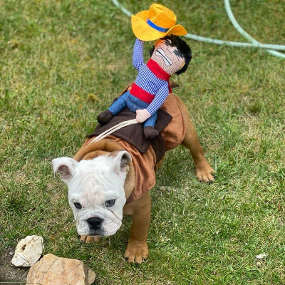 deguisement chien halloween cowboy au galop dos du chien