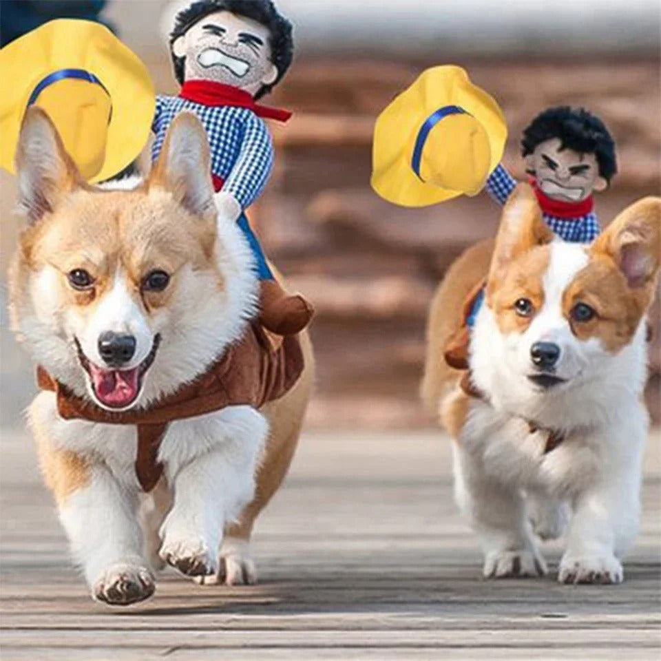 Déguisement chien Halloween | GrandGalop™
