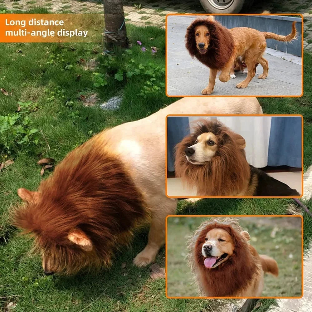 deguisement chien halloween criniere lion brun fonce