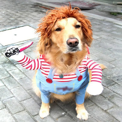 deguisement chien halloween golden retriver salopette couteau